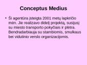 Informacijos ir komunikacijos vadyba 8 puslapis