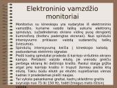 Informacijos išvedimo įrenginiai (output hardware) 13 puslapis