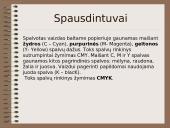 Informacijos išvedimo įrenginiai (output hardware) 4 puslapis