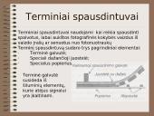 Informacijos išvedimo įrenginiai (output hardware) 8 puslapis