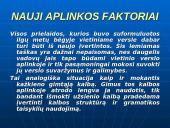 Informacinio pagrindo kūrimas 3 puslapis