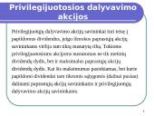 Investavimas į privilegijuotąsias akcijas 11 puslapis