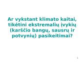 IPCC ataskaitoje iškelti aktualūs klausimai 2 puslapis