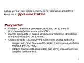 IPCC ataskaitoje iškelti aktualūs klausimai 13 puslapis