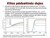 IPCC ataskaitoje iškelti aktualūs klausimai 16 puslapis