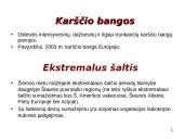 IPCC ataskaitoje iškelti aktualūs klausimai 4 puslapis