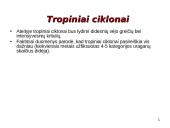 IPCC ataskaitoje iškelti aktualūs klausimai 8 puslapis