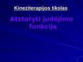 Išeminis insultas 14 puslapis