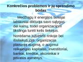 Išorinės aplinkos įtaka verslui. Kas tai? 13 puslapis