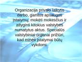 Išorinės aplinkos įtaka verslui. Kas tai? 15 puslapis