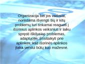 Išorinės aplinkos įtaka verslui. Kas tai? 19 puslapis