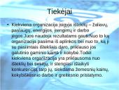 Išorinės aplinkos įtaka verslui. Kas tai? 4 puslapis