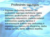 Išorinės aplinkos įtaka verslui. Kas tai? 9 puslapis