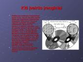 Išorinės atminties įrenginių įvairovė ir naudojimo lyginamoji analizė 3 puslapis