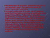 Išorinės atminties įrenginių įvairovė ir naudojimo lyginamoji analizė 9 puslapis