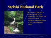 Italy tourism 10 puslapis