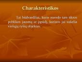 Įvaizdžio kūrimas 5 puslapis