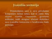 Įvaizdžio kūrimas 6 puslapis