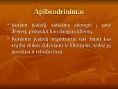 Įvaizdžio kūrimas 9 puslapis