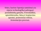 Japonijos pramonė 15 puslapis