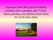 Japonijos pramonė 16 puslapis