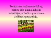 Japonijos pramonė 17 puslapis