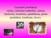 Japonijos pramonė 18 puslapis