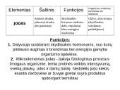 Jodo savybės 8 puslapis