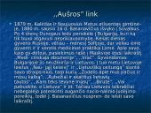 Jonas Basanavičius (1851 – 1927)  7 puslapis