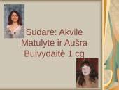 Jonas Mačiulis-Maironis 16 puslapis