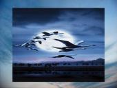 Judėjimas oru ir vandeniu 17 puslapis