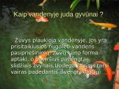 Judėjimas oru ir vandeniu 6 puslapis