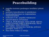 Jungtinių Tautų Organizacija ir pagrindinės jos misijos 6 puslapis