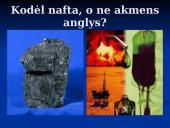 Juodasis auksas 13 puslapis