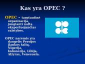 Juodasis auksas 4 puslapis