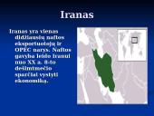 Juodasis auksas 10 puslapis