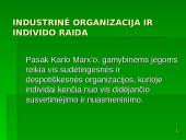 K. Markso indėlis į organizacijų teorijas 12 puslapis