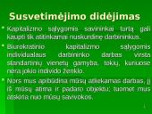 K. Markso indėlis į organizacijų teorijas 13 puslapis