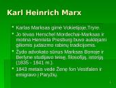 K. Markso indėlis į organizacijų teorijas 3 puslapis