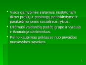 K. Markso indėlis į organizacijų teorijas 7 puslapis