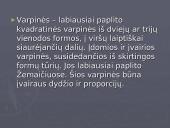 Kaimo gyvenviečių architektūra  14 puslapis