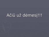 Kaimo gyvenviečių architektūra  17 puslapis