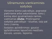 Kaimo gyvenviečių architektūra  5 puslapis