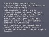 Kaimo gyvenviečių architektūra  7 puslapis