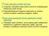 Kaimo ir vandens turizmas Kauno apskrityje 11 puslapis