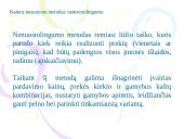 Kainų nustatymo metodai 12 puslapis