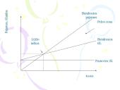 Kainų nustatymo metodai 14 puslapis