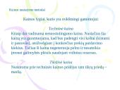 Kainų nustatymo metodai 5 puslapis