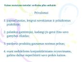 Kainų nustatymo metodai 8 puslapis