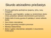 Kaip gyvena skurstantys žmonės Lietuvoje? 12 puslapis